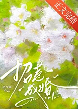 招惹成婚
