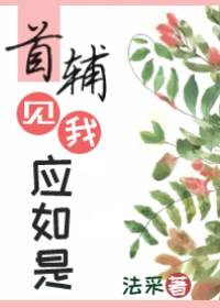 首輔見我應如是