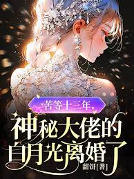 苦等十三年，神秘大佬的白月光離婚了