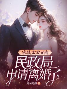 宋總，太太又去民政局申請離婚了