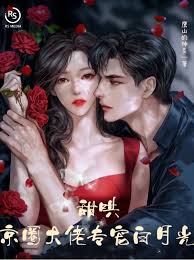 甜哄，京圈大佬專寵白月光