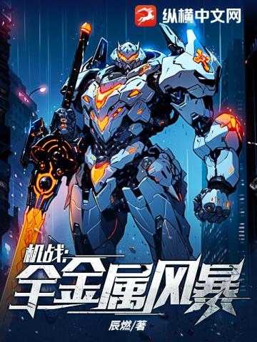 機戰：全金屬風暴