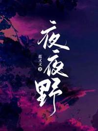 夜夜野