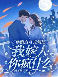 你跟白月光領證，我嫁人你瘋什麼