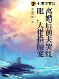 冷婚三年你不愛，二嫁大佬寵上天