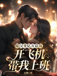 糙漢變億萬總裁，開飛機帶我上班