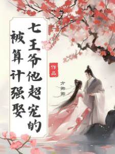 被算計強娶，七王爺他超寵的