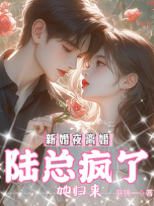 新婚夜離婚，她歸來，陸總瘋了