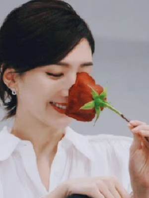 小玫瑰的最后十四天