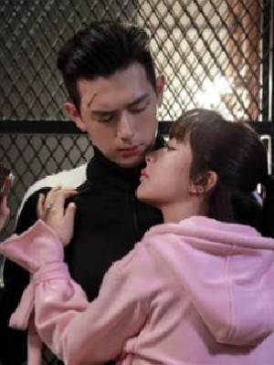 我在人間販賣浪漫