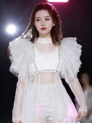 選秀之我是野心家