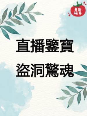 3.直播鑒寶，盜洞驚魂