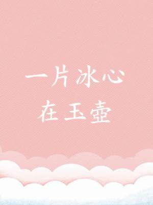 一片冰心在玉壺