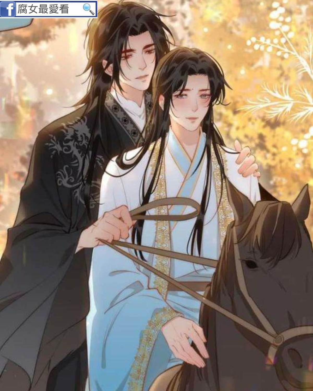 作者和主角絕逼是真愛