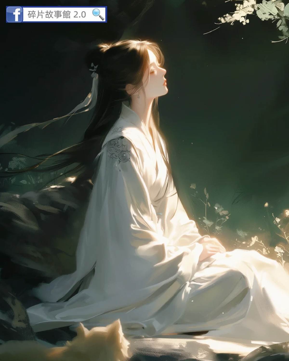 被搶了親事後我選擇了修行