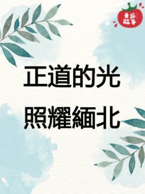 14.正道的光照耀緬北