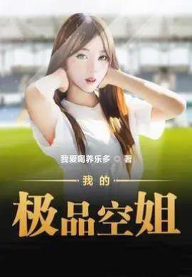 我的極品空姐
