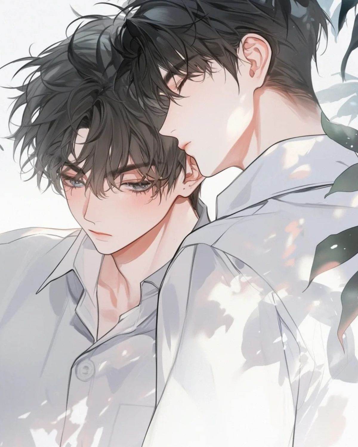 校草和校霸的秘密