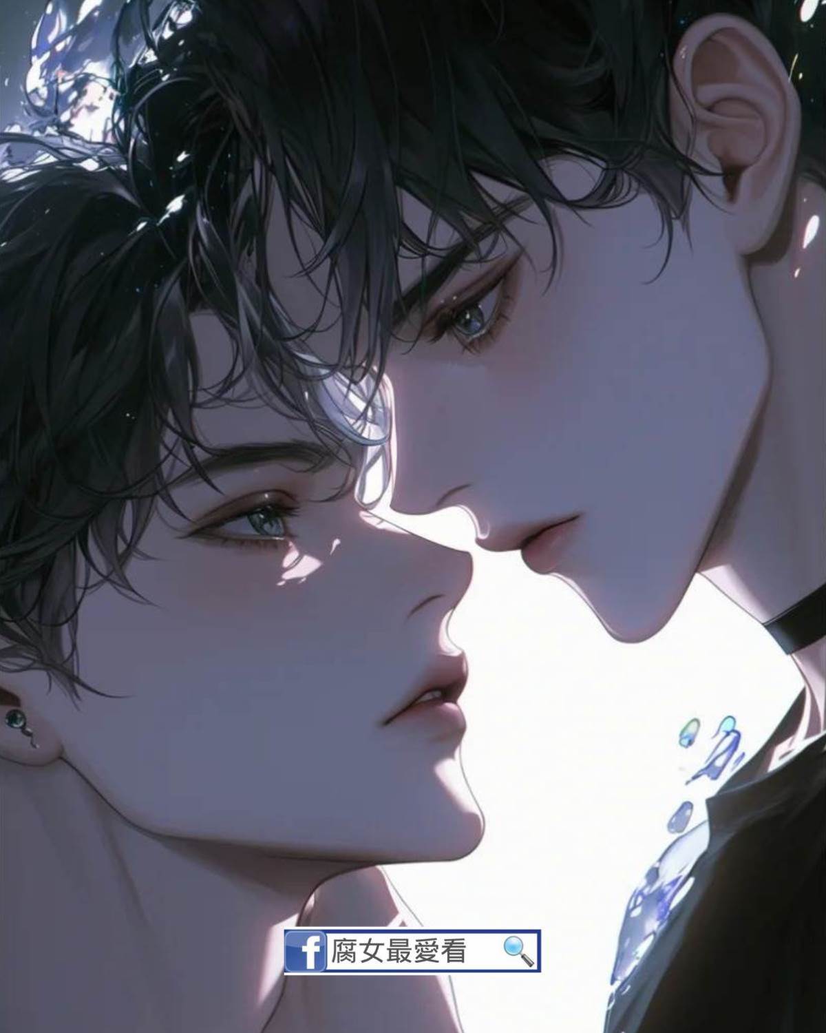 薄荷糖和野茉莉