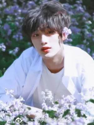 純情少年是小狐貍