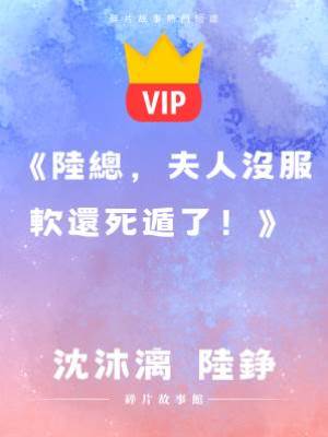 《陸總，夫人沒服軟還死遁了！》沈沐漓 陸錚