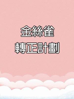 金絲雀轉正計劃