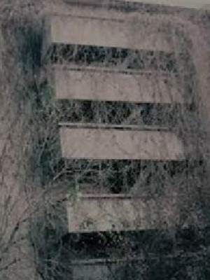 七號樓小區怪談