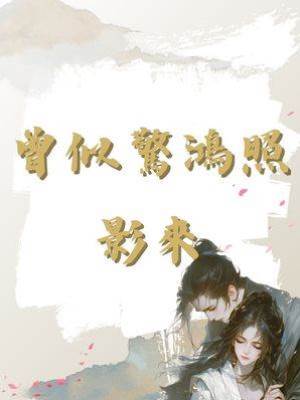 曾似驚鴻照影來