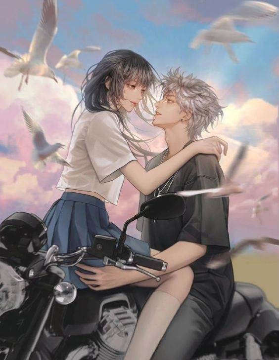 和撿來的狼崽領證了