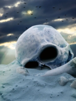 消失的兒時玩伴