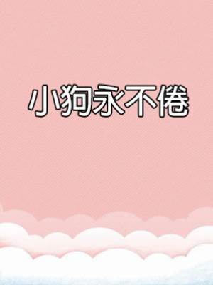 小狗永不倦
