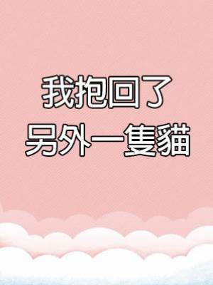 我抱回了另外一隻貓