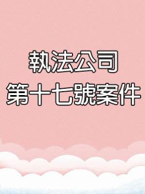 執法公司第十七號案件