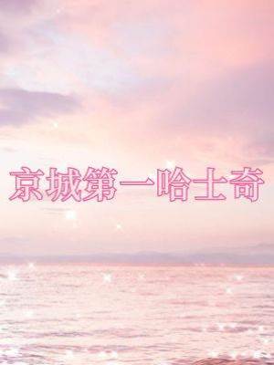 京城第一哈士奇