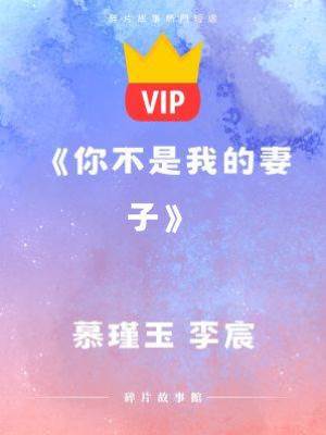 《你不是我的妻子》慕瑾玉 李宸