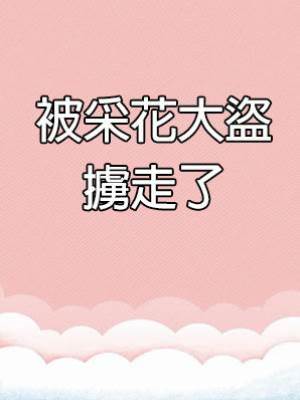 被采花大盜擄走了