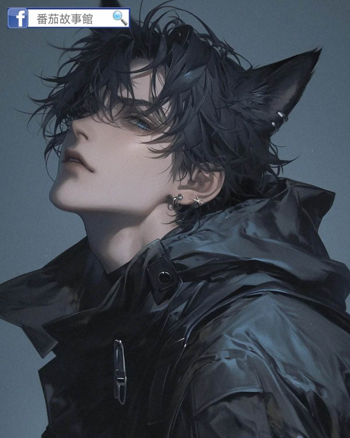 嫡貓和她的庶狗