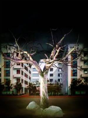 陰森校園之探秘