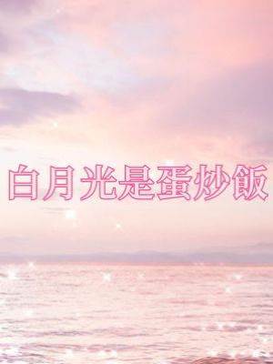 白月光的蛋炒飯