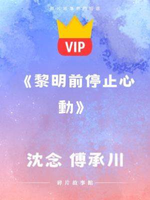 《黎明前停止心動》沈念 傅承川