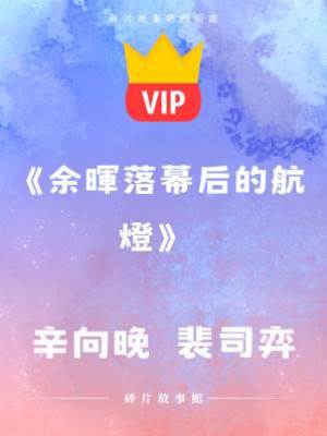 《余暉落幕后的航燈》辛向晚  裴司弈