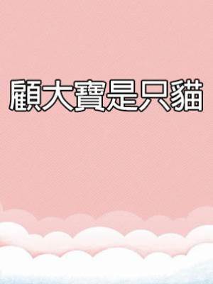顧大寶是只貓