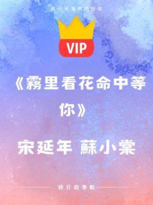 《霧里看花命中等你》宋延年 蘇小棠