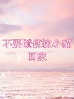 不要隨便撿小貓回家