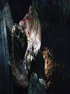 校園恐怖之碎尸案