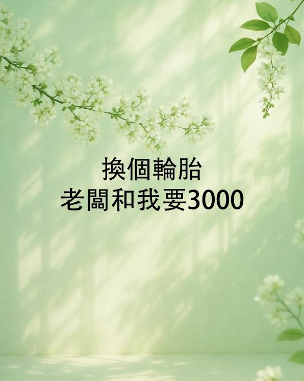 換個輪胎老闆和我要3000