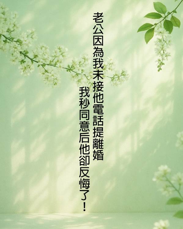 老公因為我未接他電話提離婚，我秒同意后他卻反悔了！