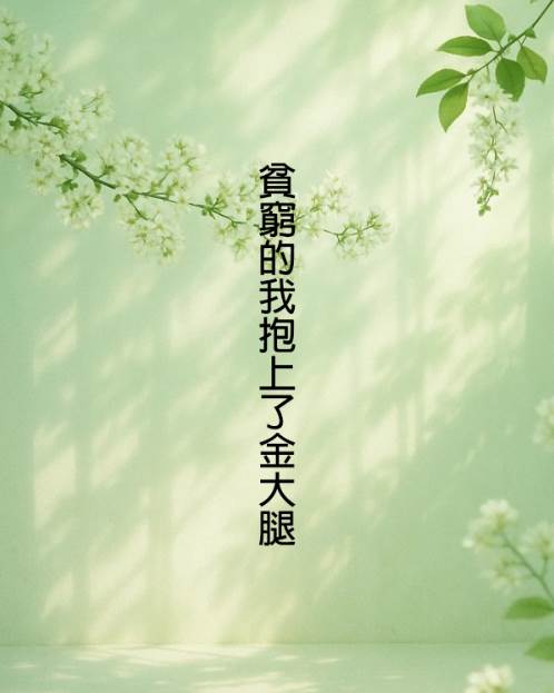 貧窮的我抱上了金大腿