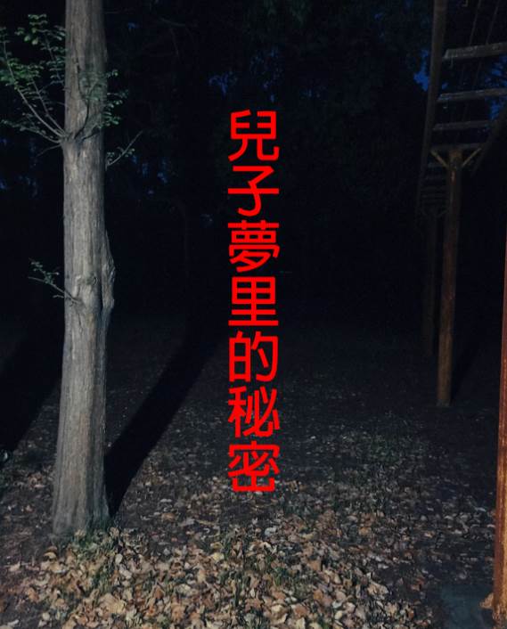 兒子夢裡的秘密