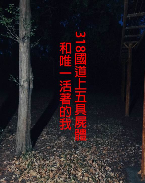 318國道上五具屍體和唯一活著的我